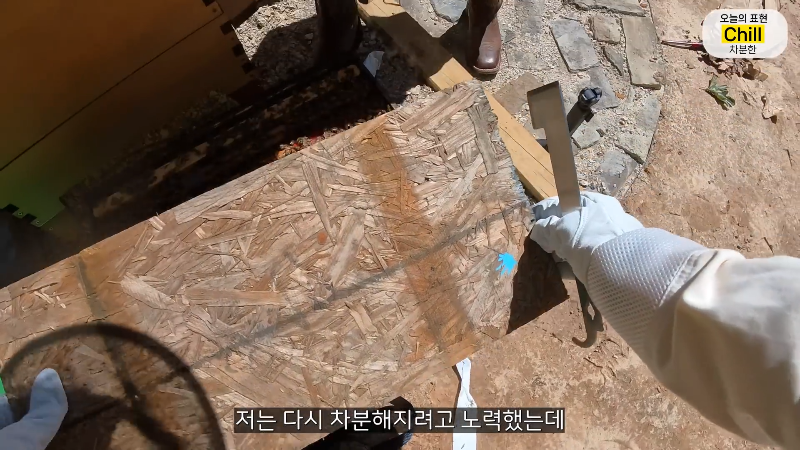 양봉 시작한 올리버쌤 근황.jpg | 인스티즈