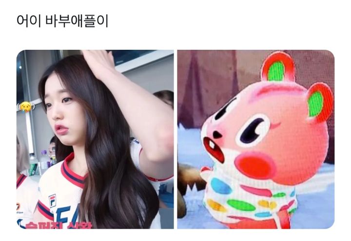 아이브 장원영이 짜리몽땅하다고 안 닮았다던 애플이랑 갑자기 닮았다고 인정한 이유 ㅋㅋㅋ | 인스티즈