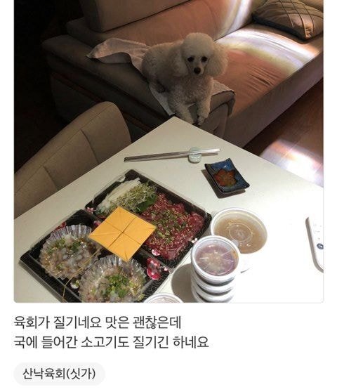 배달의 민족 리뷰에 강아지가 안보여 아쉬운 사장님.jpg | 인스티즈