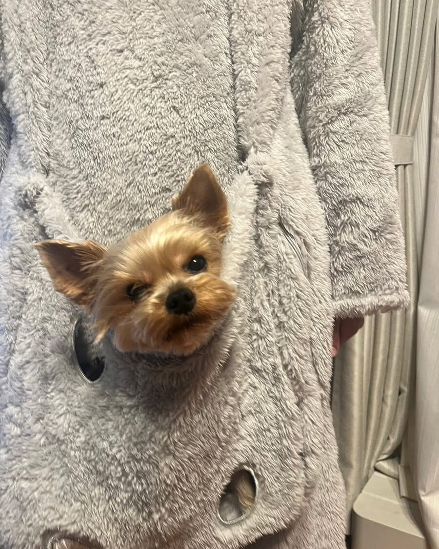 일본에서 팔고있다는 입는 담요 | 인스티즈