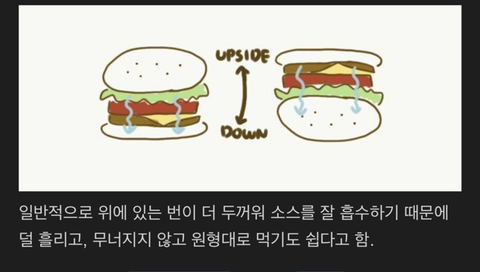 햄버거를 거꾸로 먹어야 하는 이유 | 인스티즈