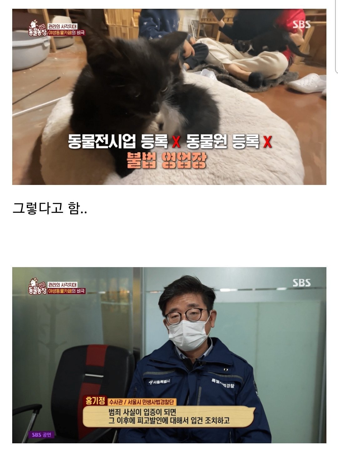 현재 난리난 동물농장에 나온 동물카페 사장.jpg | 인스티즈