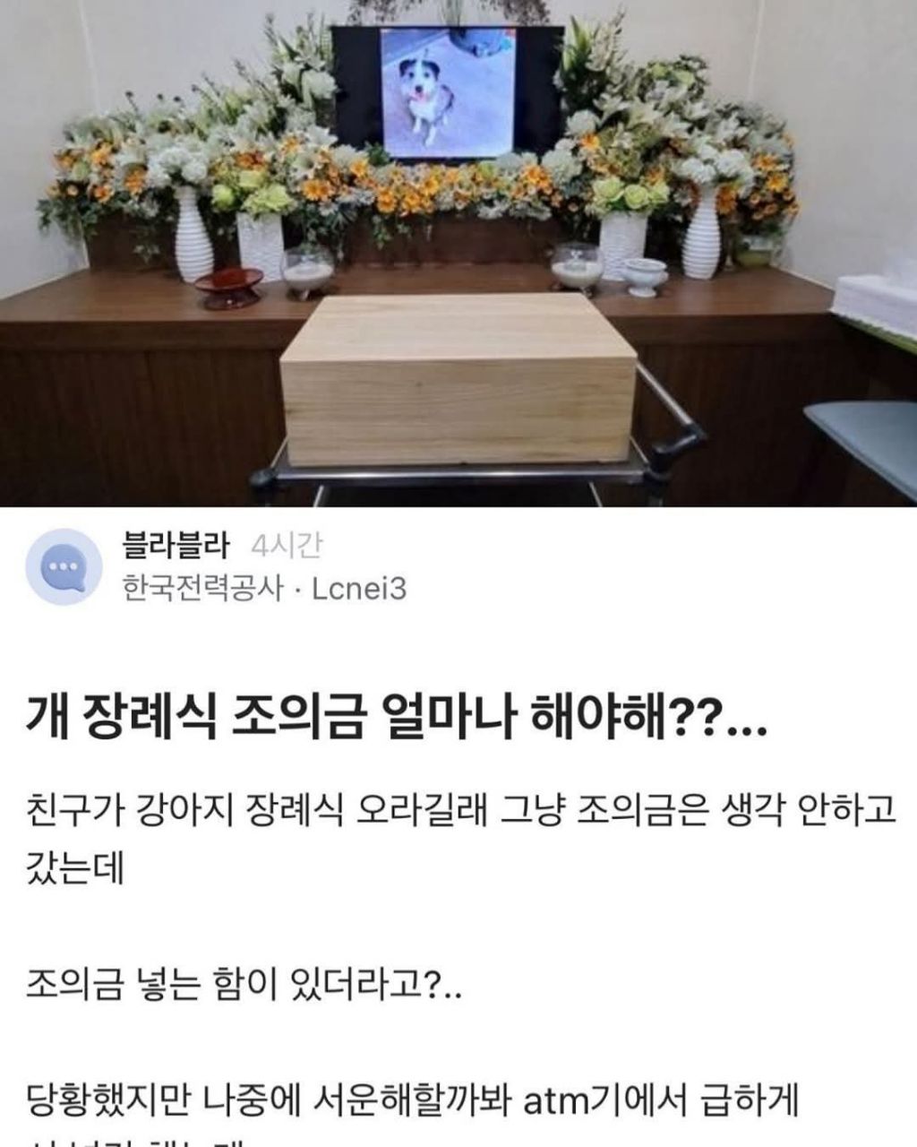 개 장례식 조의금 얼마 해야해..? | 인스티즈