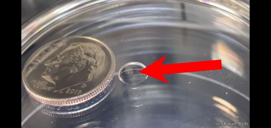 실제 난자 크기.jpg | 인스티즈