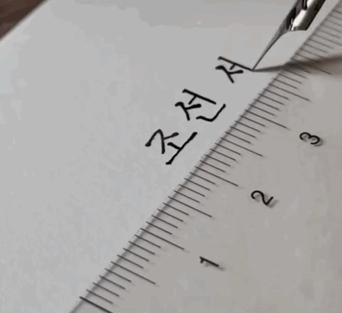 자신만의 글씨체로 인간 프린트가 되어버린 작가.gif | 인스티즈