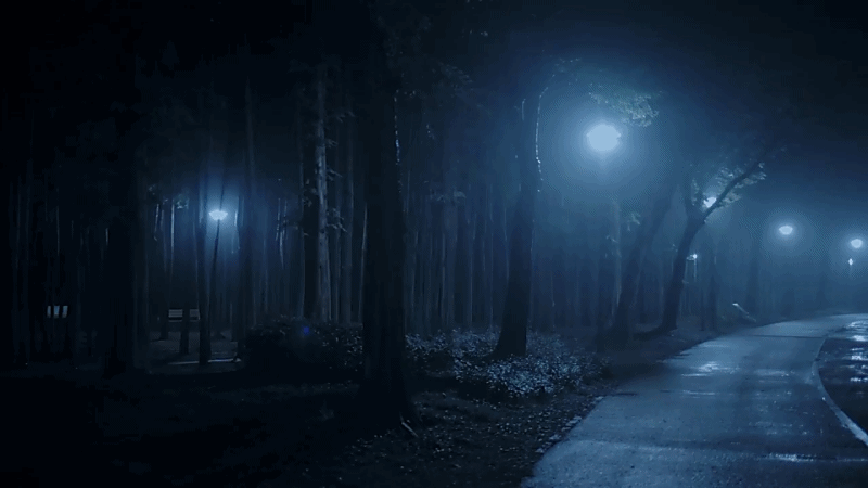 한 유튜버가 촬영하면서 정말 무서웠다는 새벽 2시 서울숲 풍경 | 인스티즈