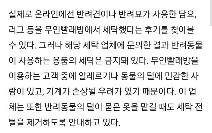 코인세탁소에서 반려동물 용품 세탁 금지하는 이유 | 인스티즈