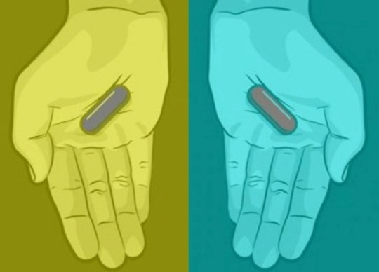 사람마다 다르게 보이는 사진 모음 | 인스티즈