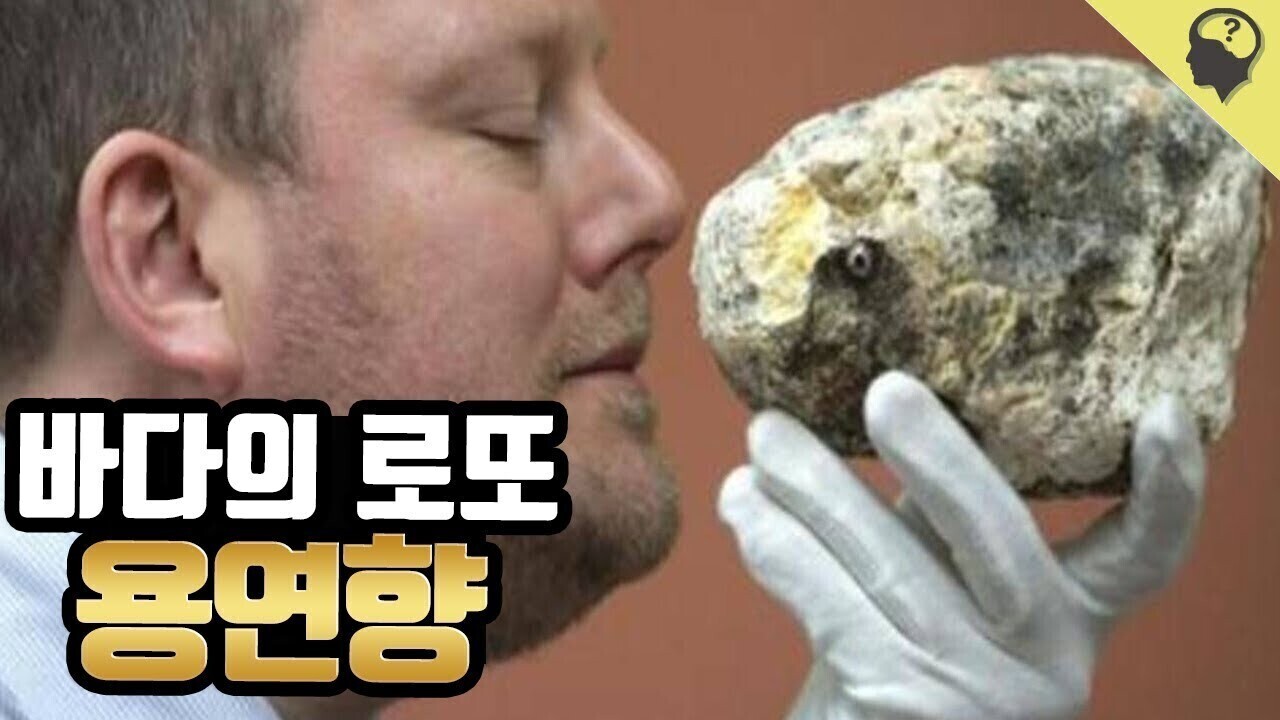 해안가 갔을때 유심히 잘 살펴봐야하는 이유 | 인스티즈