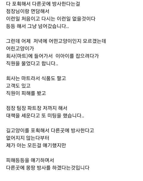 민원테러한 길냥이충들.jpg (20년 7월) | 인스티즈