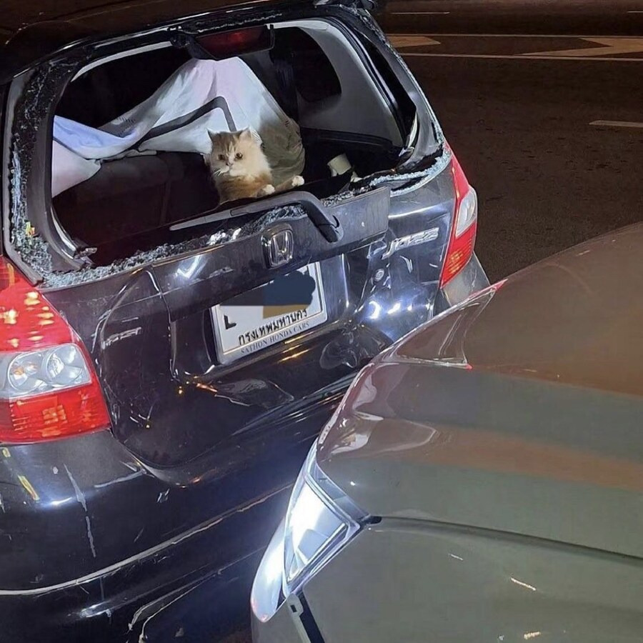 후방추돌 사고 당한 차 .jpg