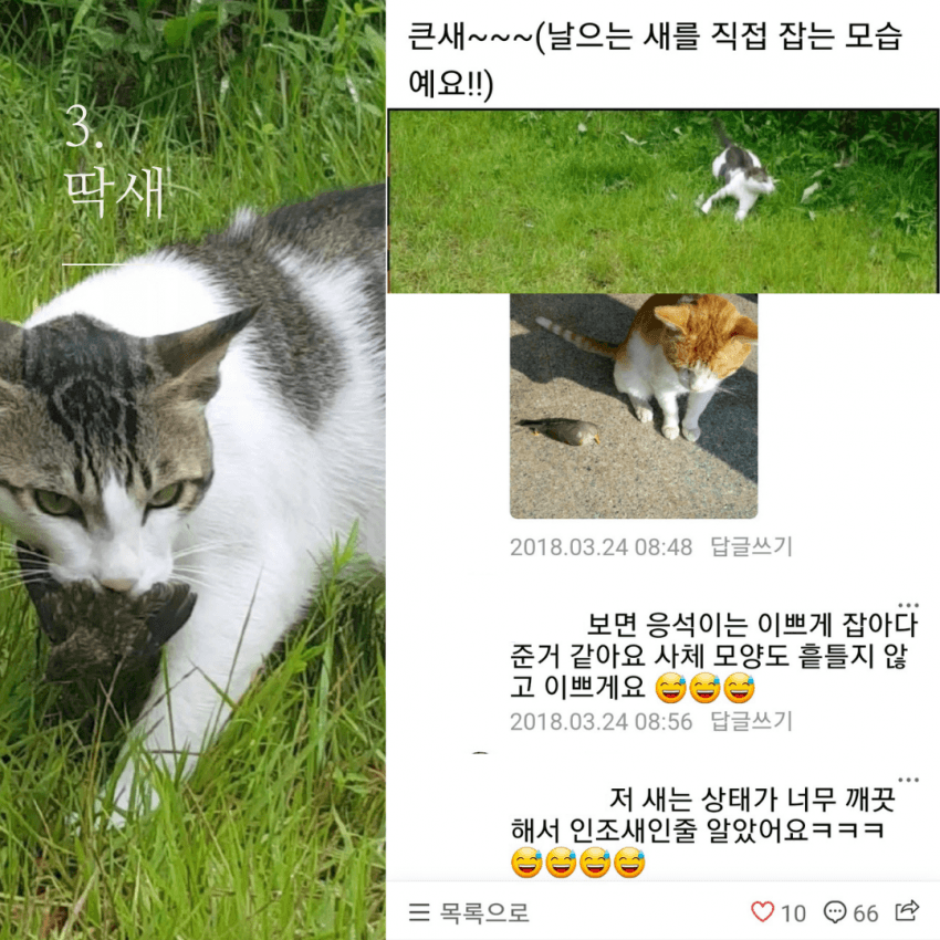 저는 장난감이 아니에요.jpg | 인스티즈