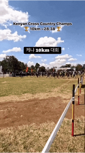 케냐 10km 마라톤 기록 .gif | 인스티즈