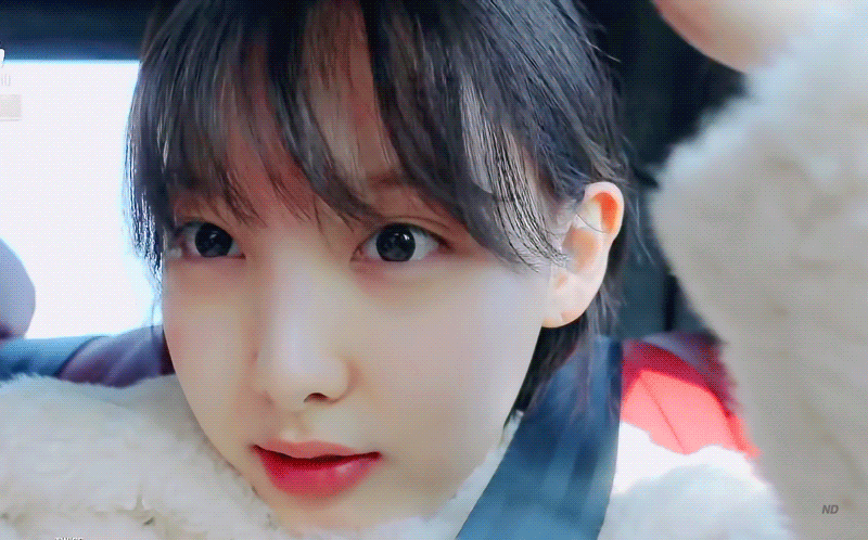 트와이스 나연의 마니또 브이로그(feat. 쿠크+방에 있는 물건 소개) | 인스티즈