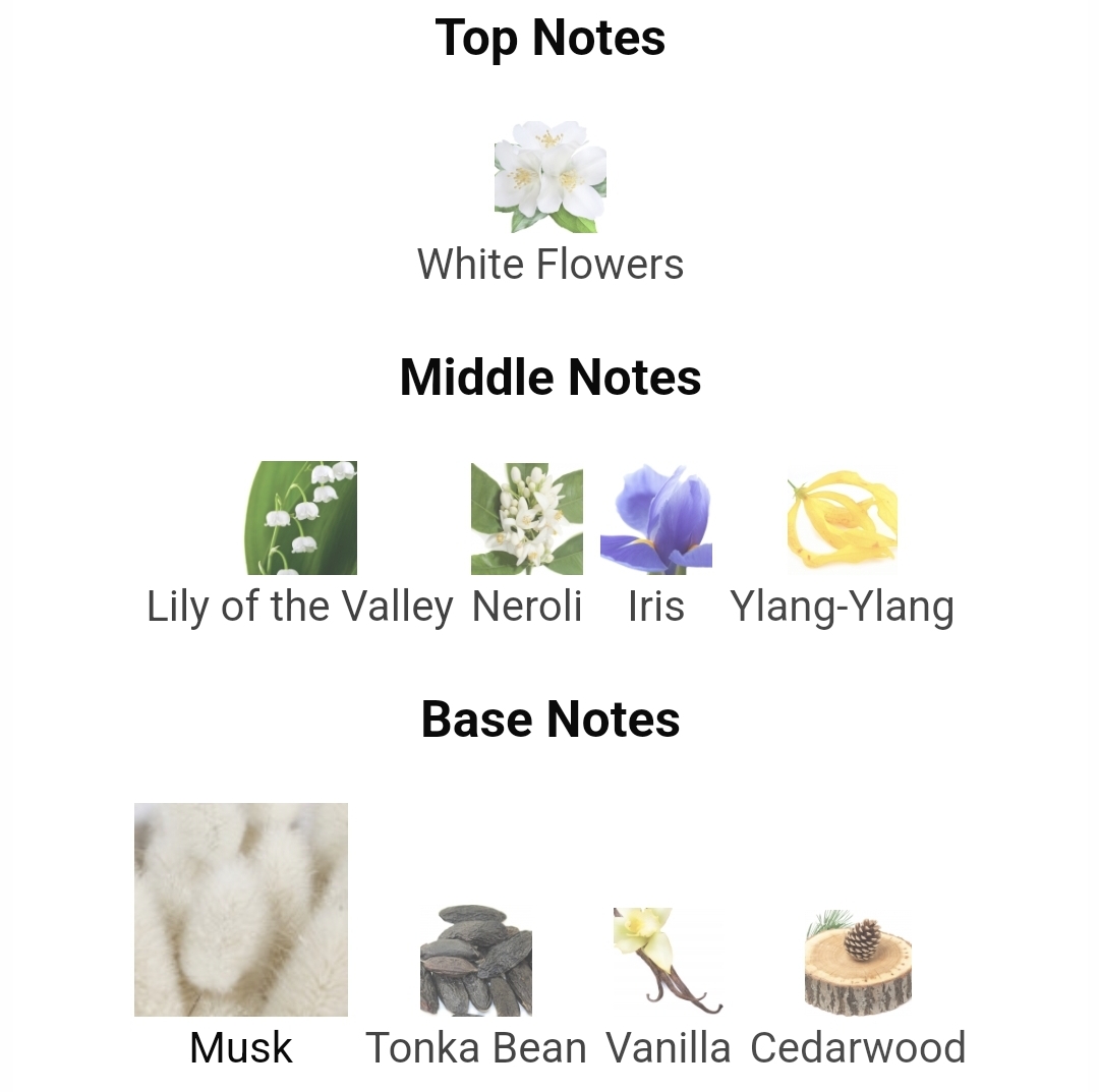 가을겨울에 쓰기 좋은 머스크 노트 향수들.jpg | 인스티즈