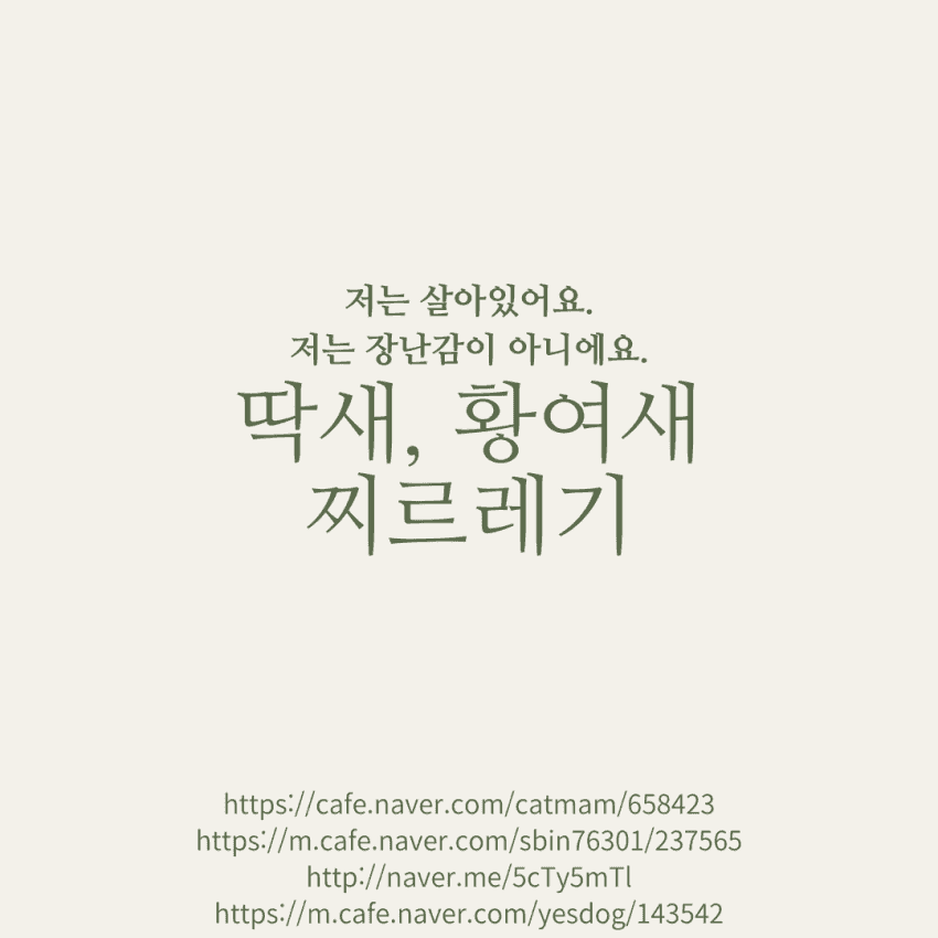 저는 장난감이 아니에요.jpg | 인스티즈