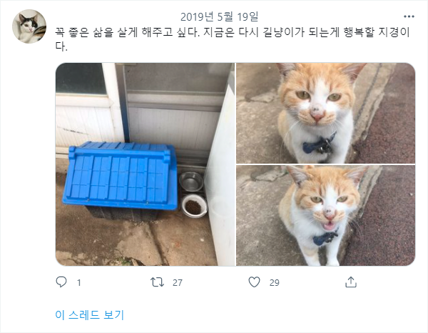 한 트짹이의 고양이 구출 | 인스티즈