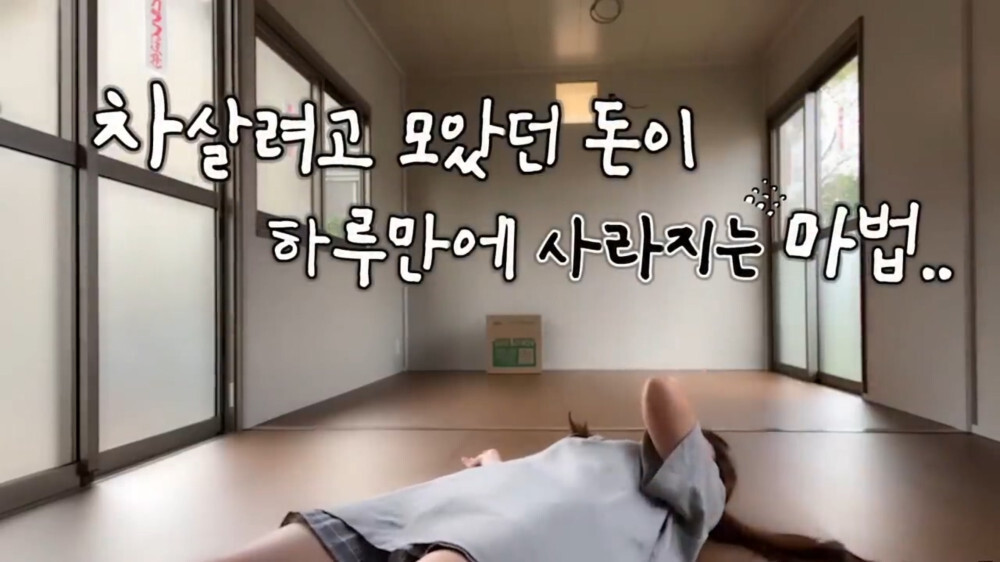 [스압주의] 일본인 캣맘 유튜버 2편 - 3천만원짜리 고양이 집 지음 | 인스티즈