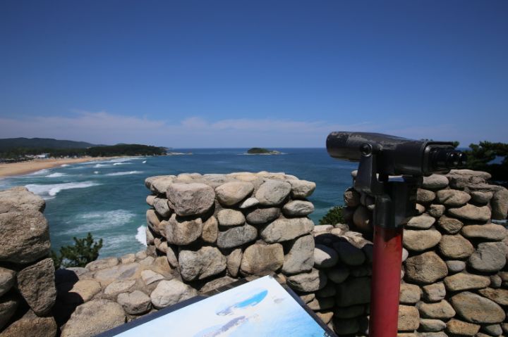 의외로 우리나라에 있는 것.jpg | 인스티즈