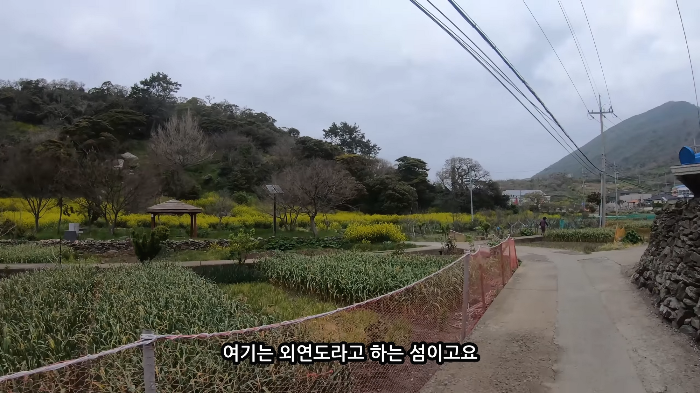 [사진100장스압] 고양이가 자연생태계에 끼치는 심각한 영향 | 인스티즈