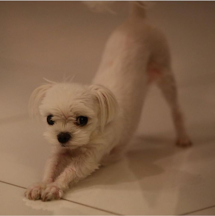 fc7e37fa8fc29040c0ef5ae5f3c40ad236be3178