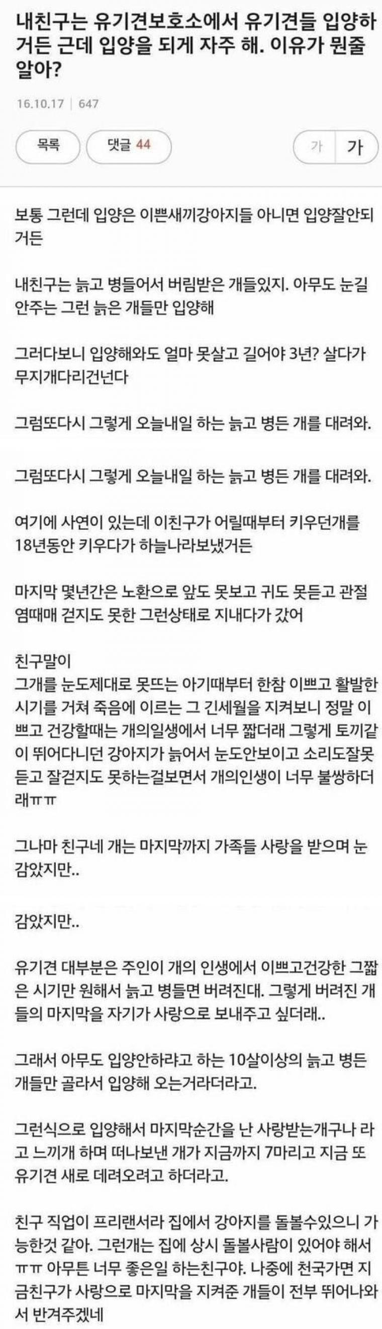 유기견을 자주 입양하는 친구.jpg | 인스티즈
