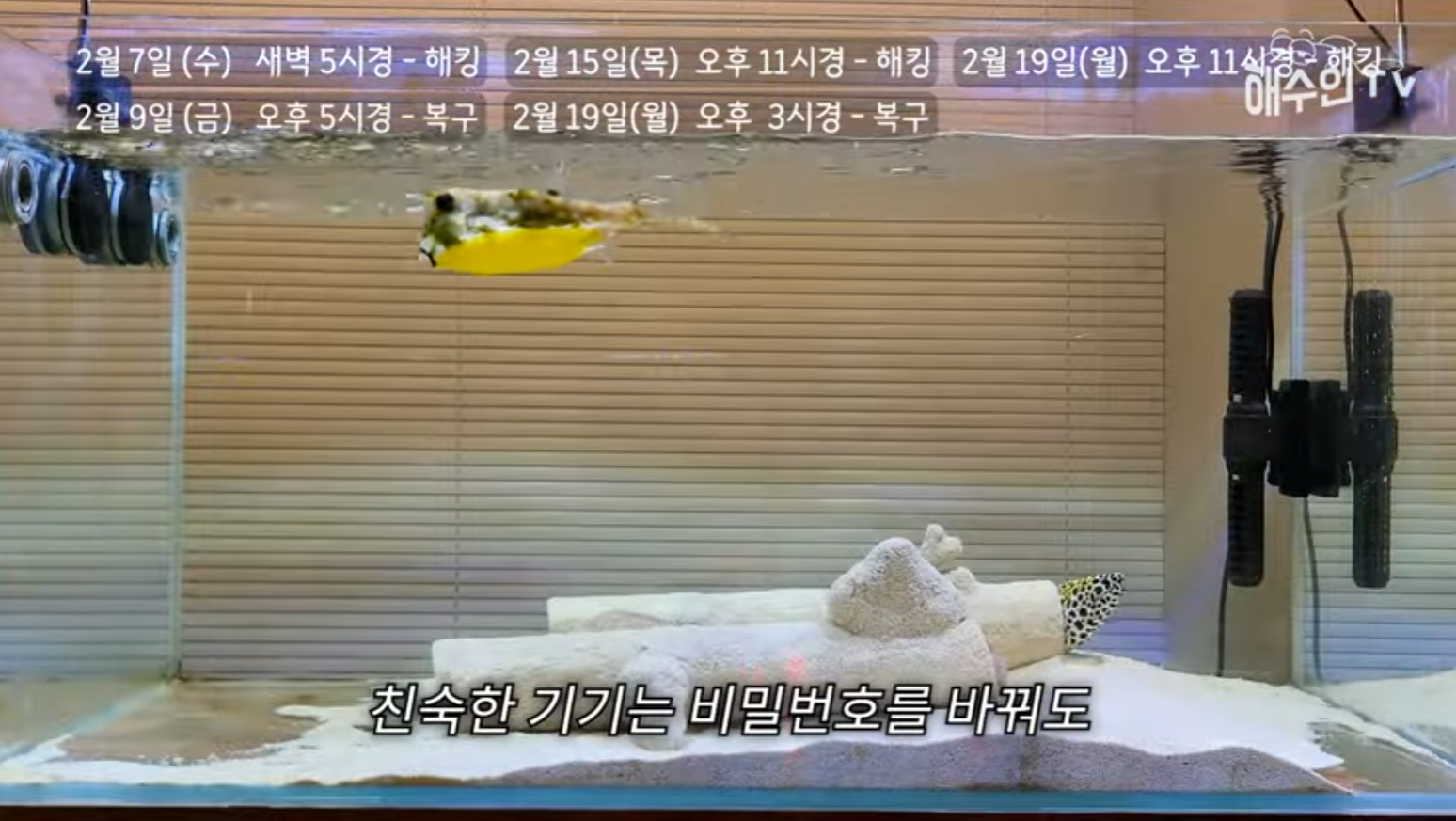 유튜브 계정이 3번이나 해킹 당한 이유 | 인스티즈