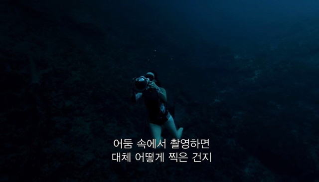 사진작가들은 신기한 사진을 어떻게 찍는걸까? | 인스티즈