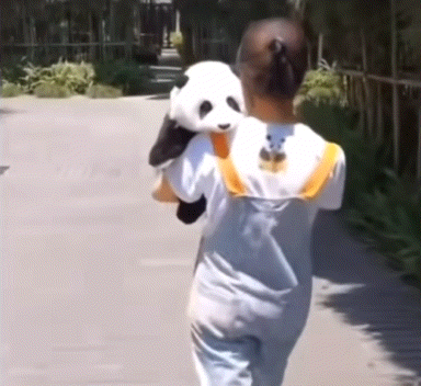 팬더에게 손 흔들면 안되는 이유 | 인스티즈