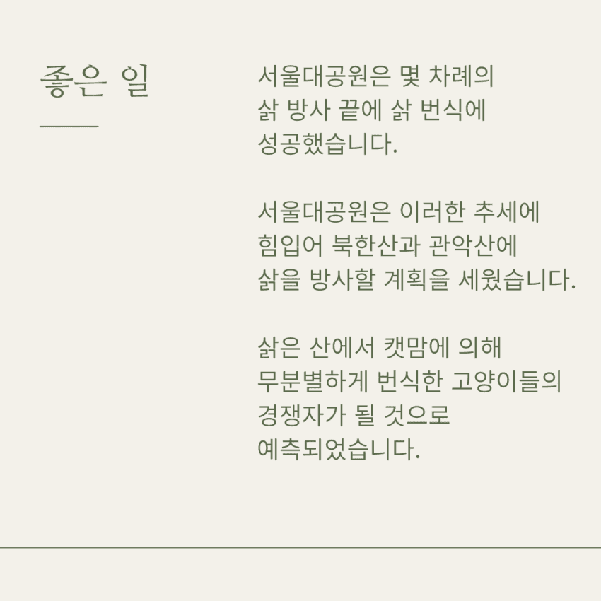캣맘들 땜에 고통 받는 삵 근황 | 인스티즈