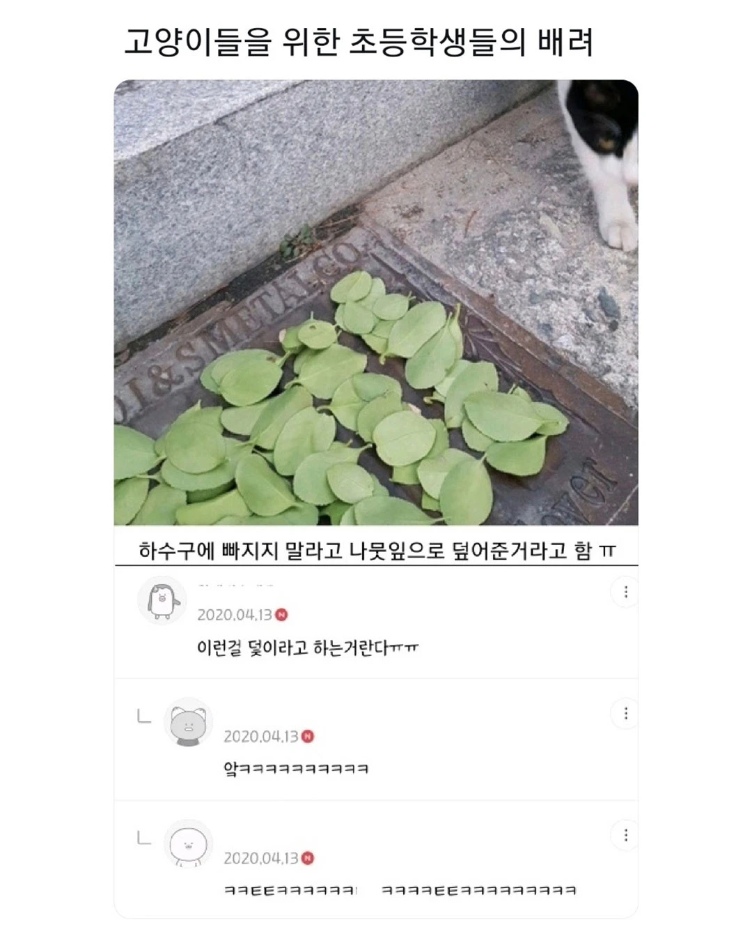 고양이를 위한 초등학생들의 배려.jpg | 인스티즈