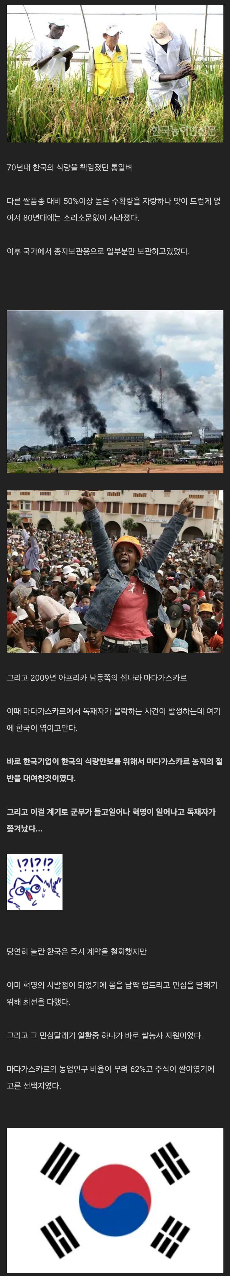 우여곡절 통일벼의 아프리카 정착기 | 인스티즈