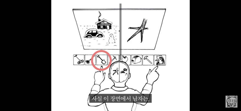 (스압)분리 뇌 실험 | 인스티즈