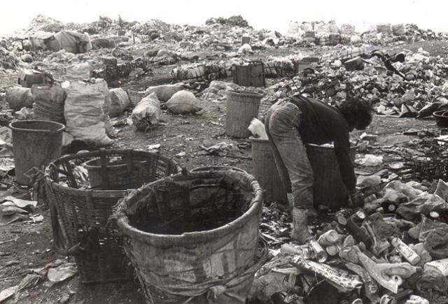 최근 서울에 온 사람들은 모른다는 서울 난지도 공원 예전 모습 | 인스티즈