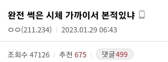 완전 썩은 시체 가까이서 본 적 있냐는 디씨인 | 인스티즈