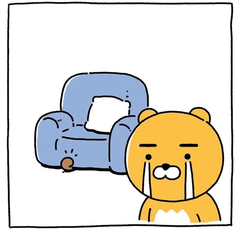 키우는 고양이가 보이지 않는다 ㅠㅠㅠㅠㅠ | 인스티즈