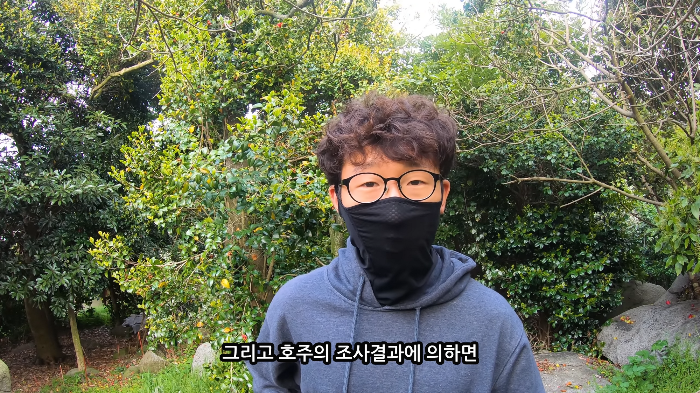 [사진100장스압] 고양이가 자연생태계에 끼치는 심각한 영향 | 인스티즈