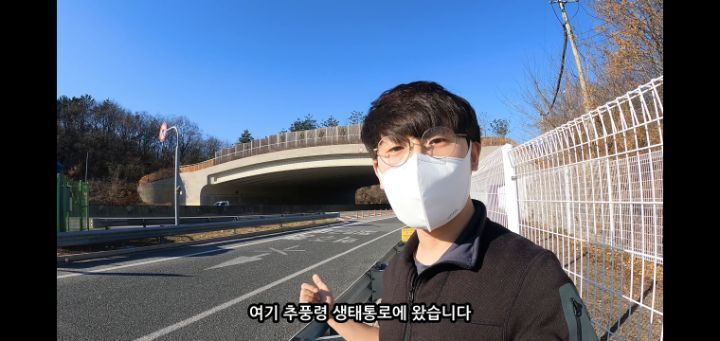 도로 위 야생동물 생태통로를 이용하는 동물들.jpg | 인스티즈