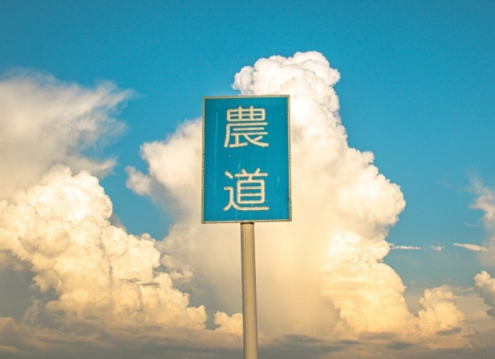 애니메이션 배경풍 사진 찍는 일본 여고생들 | 인스티즈