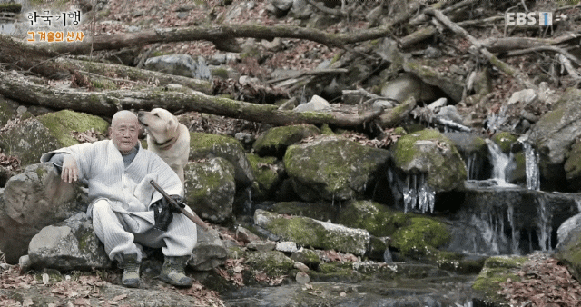 ff2605c4e04a5de108dca0b934a84d93de16ab8b