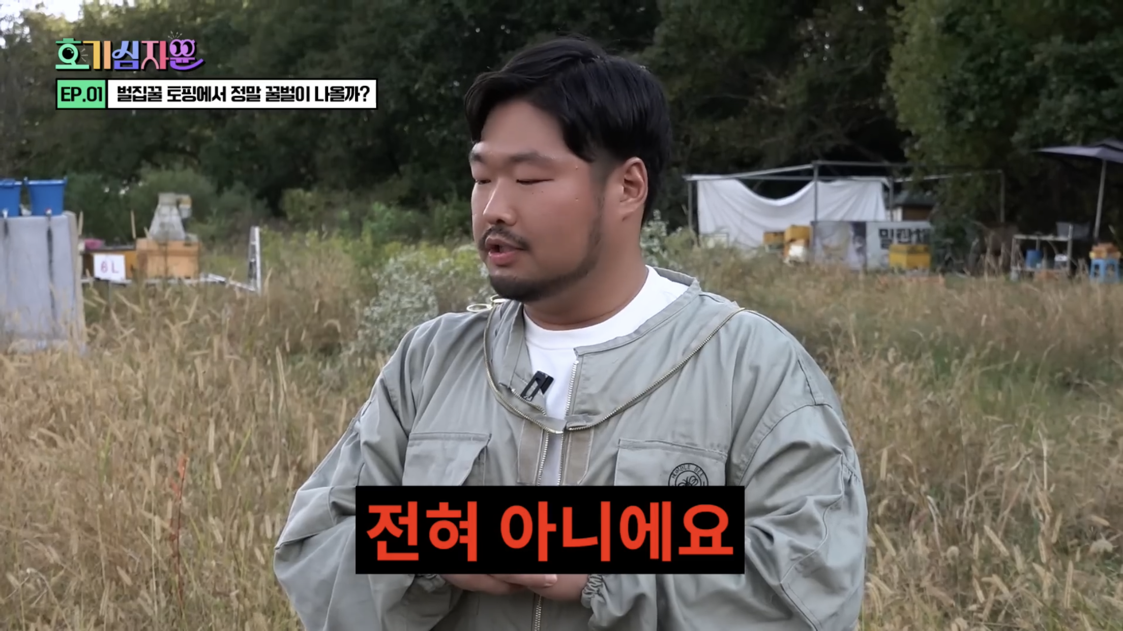 요거트 아이스크림 벌집꿀에서 나오는 벌의 정체............jpg | 인스티즈