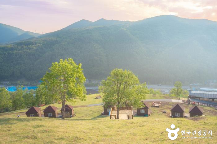 인생샷 찍기 좋다는 국내 배경이 예쁜 여행지들.JPG | 인스티즈
