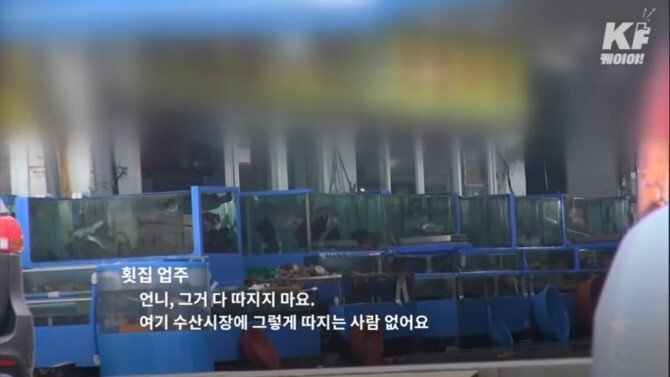 정말 몰상식하고 격떨어지는 수산 시장..jpg(시장경제 살릴필요가없는이유) | 인스티즈