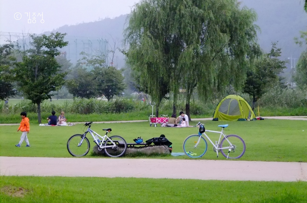 최근 서울에 온 사람들은 모른다는 서울 난지도 공원 예전 모습 | 인스티즈