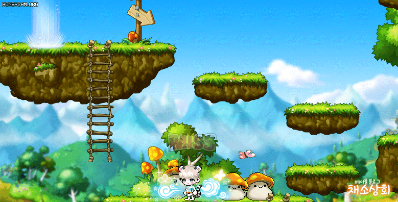 메이플스토리 데미지 스킨 모음 | 인스티즈