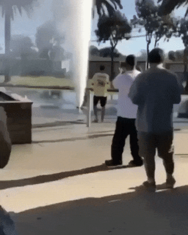 완전 바보같은 생각이네 당장하자!!.gif | 인스티즈