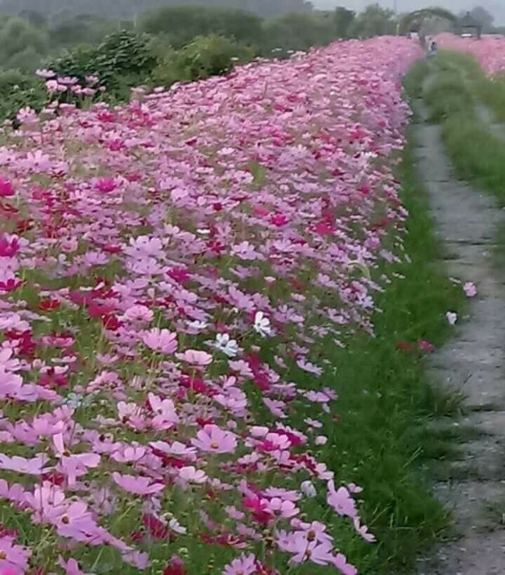 배웅 이미지