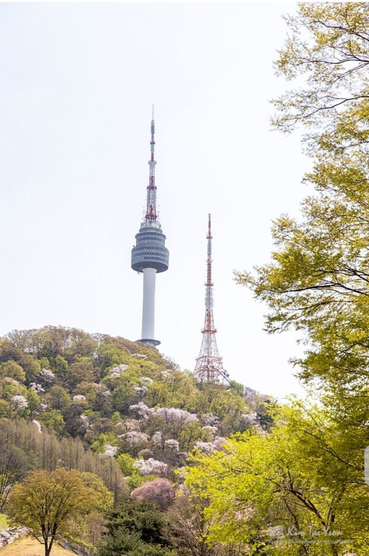 남산쭈꾸미 이미지