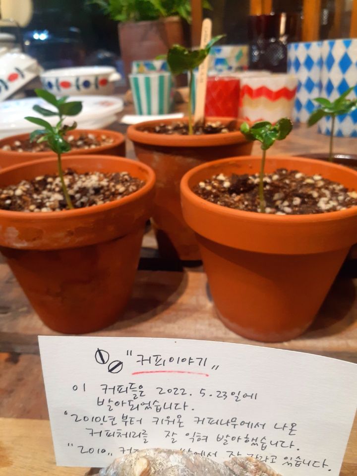 모임커피 이미지