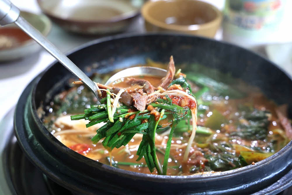 바위집염소 이미지